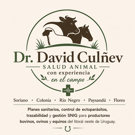 Dr. David Culñev veterinario Mercedes Uruguay
